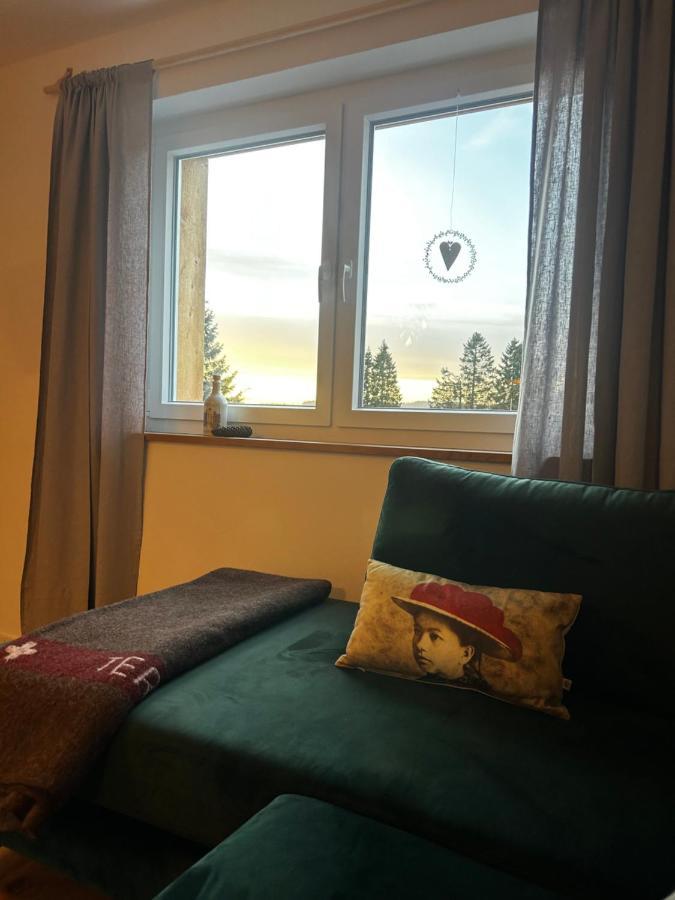 Feldberg Apartment - Direkt An Der Skipiste - Mit Sauna Exteriör bild
