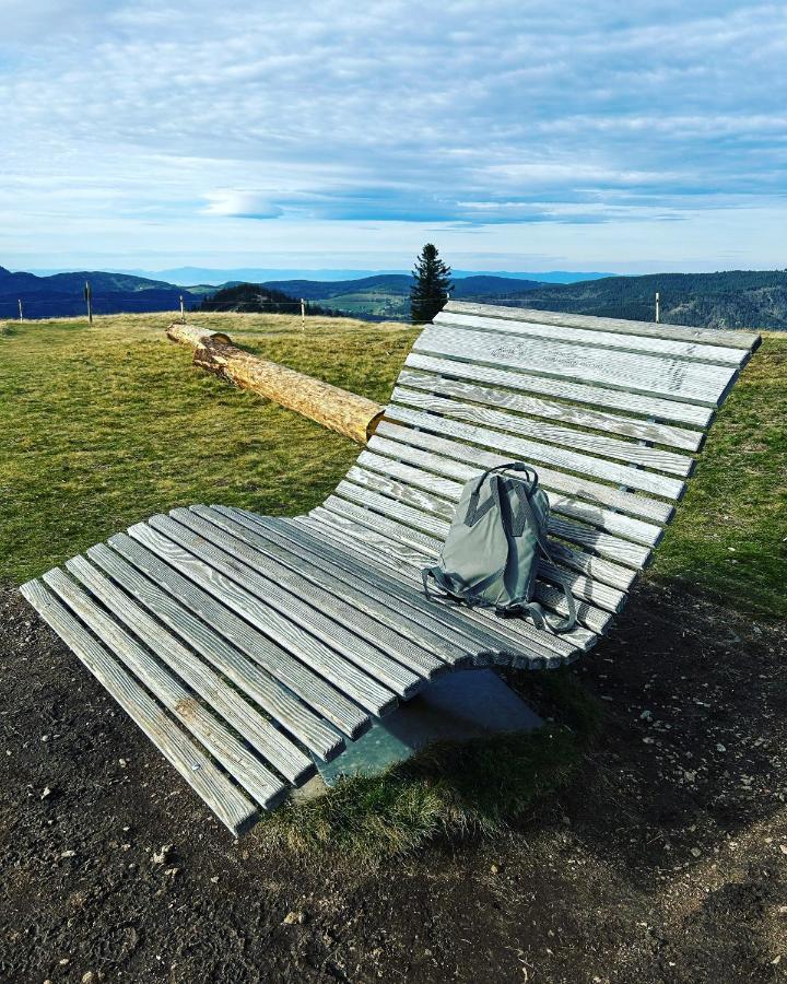 Feldberg Apartment - Direkt An Der Skipiste - Mit Sauna Exteriör bild