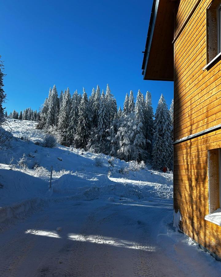 Feldberg Apartment - Direkt An Der Skipiste - Mit Sauna Exteriör bild