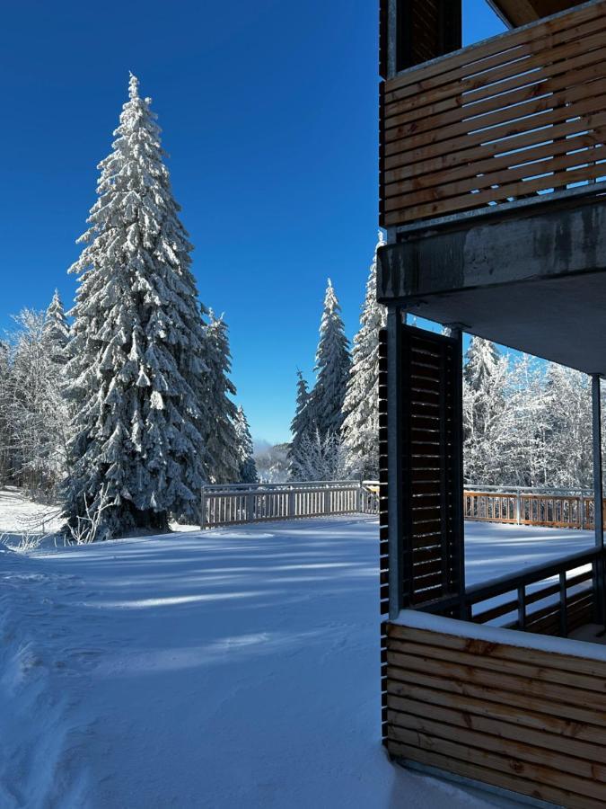 Feldberg Apartment - Direkt An Der Skipiste - Mit Sauna Exteriör bild
