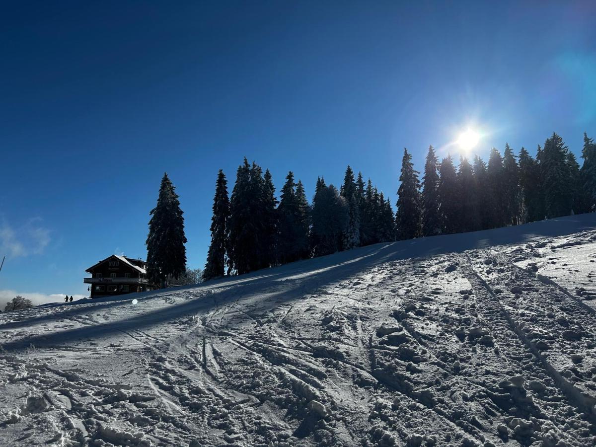 Feldberg Apartment - Direkt An Der Skipiste - Mit Sauna Exteriör bild