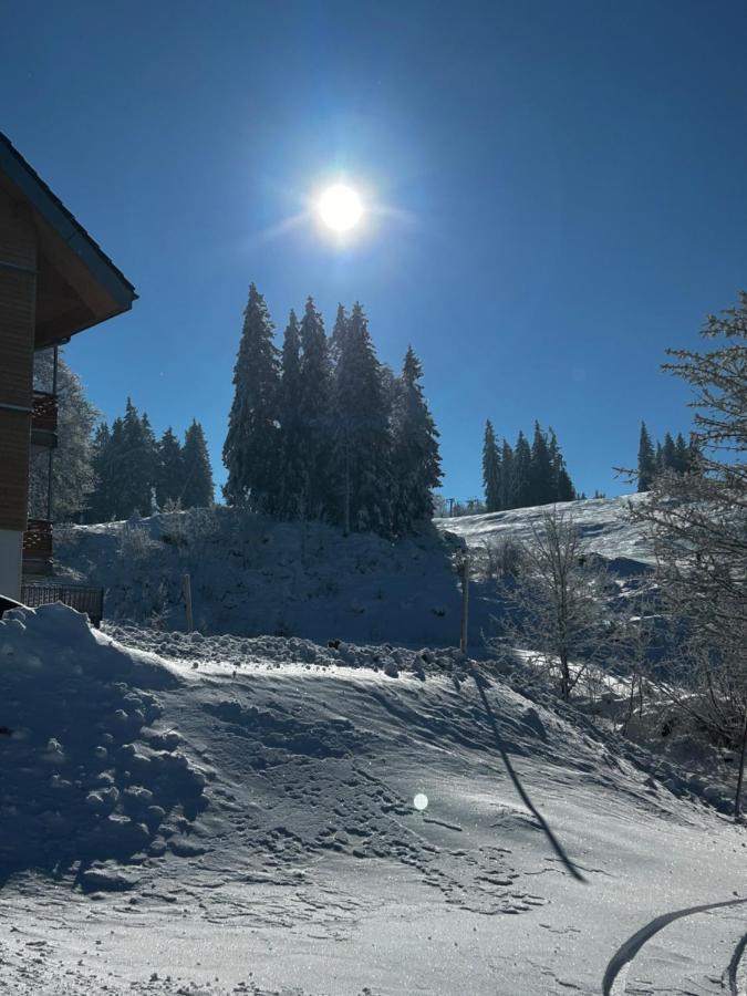 Feldberg Apartment - Direkt An Der Skipiste - Mit Sauna Exteriör bild